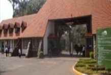 Parks, Giraffes & Karen Blixen